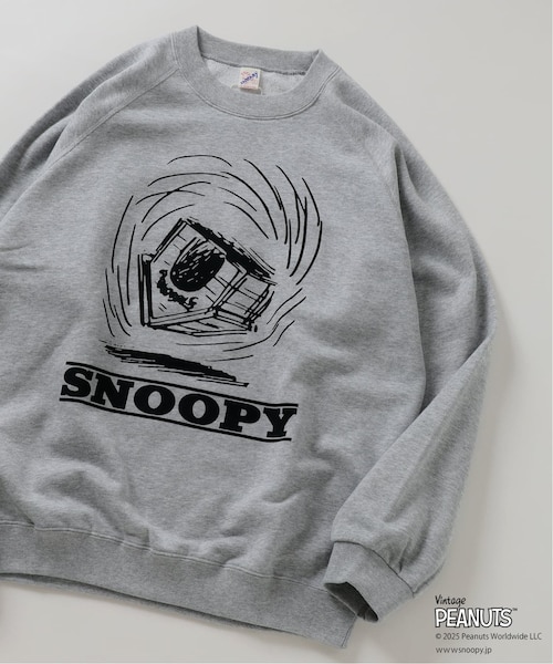 ピーナッツページ 千葉県産ピーナッツ ギフトボックス7個セット