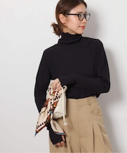 《追加》ソフトベアテレコタートル