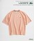 LACOSTE / ラコステ ヘビーピケ Tシャツ