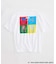 《WEB限定カラーあり》QUEEN / クィーン 別注 グラフィック Tシャツ