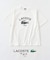 【LACOSTE / ラコステ】 417別注 Print Tシャツ