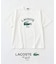 【LACOSTE / ラコステ】 417別注 Print Tシャツ