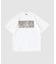 NOT OEM Guernica/TEE