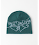 Carhartt /カーハートダブルアイピー SCREWED UP SCRIPTER BEANIE
