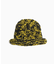 Indietro Association Roll Knit Cap