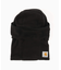 CARHARTT WIP / カーハート ダブリューアイピー EXPEDITION MASK