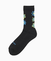 ROSTER SOX / ロスターソックス DE LA