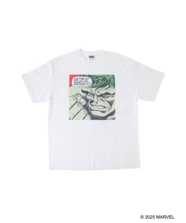 VARIEGATOR / ヴァリゲイター Hulk /Tee