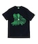 SAGE / セイジ FROG Pulse Tee