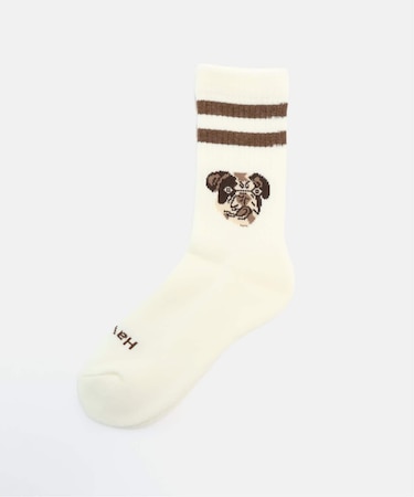 DOG RS448