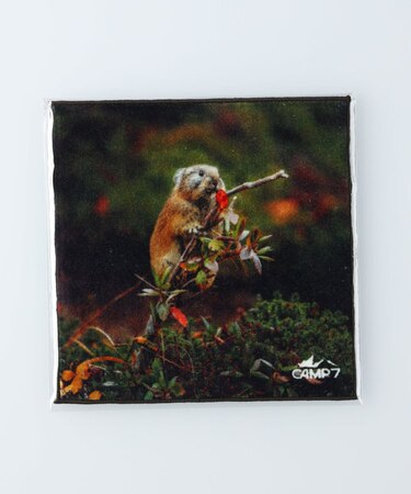 キャンプ7 【CAMP7 x 半田菜摘】グラフィックハンカチタオル