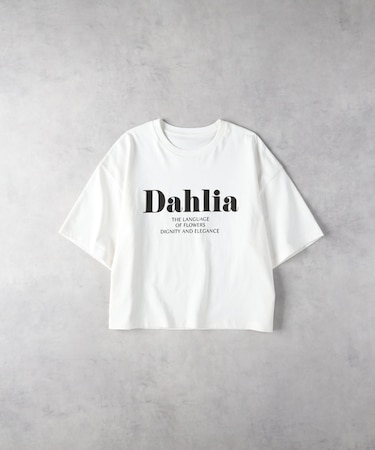 ハニーサックルローズ プリントビッグＴ