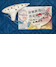 その他499
