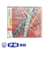CD　全日本吹奏楽コンクール2009　VOL．11