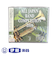 CD　全日本吹奏楽コンクール2006　VOL．3