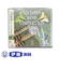 CD　全日本吹奏楽コンクール2006　VOL．5