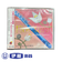 CD　フルートアンサンブル「フィオリトゥーラ」