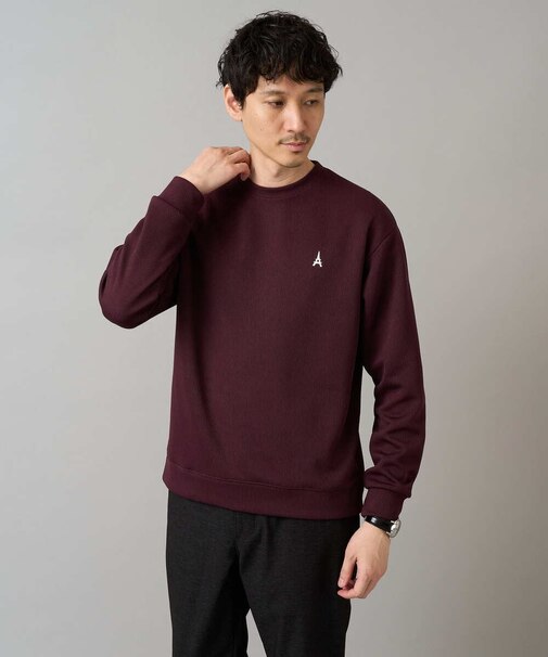 【イージーケア/毛玉になりにくい】アゼダブルフェイスワンポイント刺繍プルオーバー