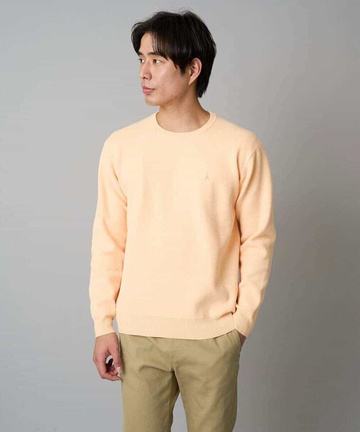 【洗濯機で洗える】ジャカードクルーネックニット