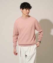 【洗濯機で洗える】タックメッシュクルーネックニット