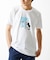 【カワイサトミ / コラボTシャツ】ビーグルドッグプリント