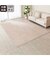 抗菌防臭 やわらかシャギーラグ(PBシャギー BE 200X240)