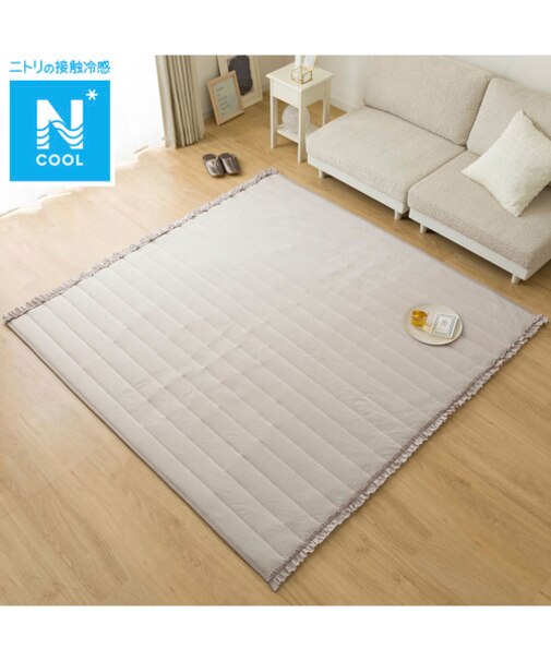 ラグ(Nクールフリル185X240 モカ gDS2)