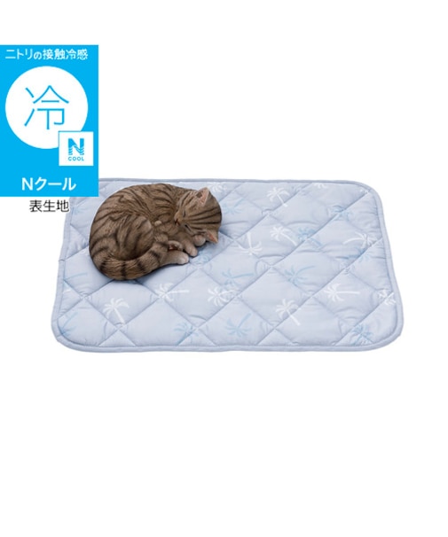 ペット敷パッド Mサイズ(Nクール PALM NR04)