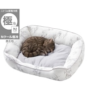 ペットベッド 角 Mサイズ(Nクール極冷 ラインアート M)