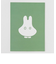 ミッフィー miffy ポストカード（obake） GREEN FLASH