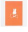 ミッフィー miffy ポストカード（star） GREEN FLASH