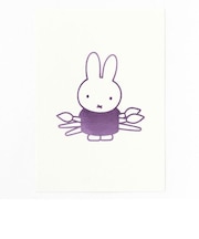 ミッフィー miffy ポストカード（drawing） GREEN FLASH