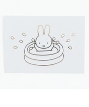 ミッフィー miffy ポストカード（splash） ハガキ 文具 日本製