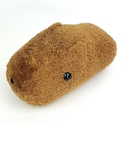 もふっとカピバラさん ブラウン ぬいぐるみ