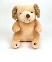 プレミアムねむねむ ソラ 座り抱きまくら(M) ぬいぐるみ ゴールデンボンバー