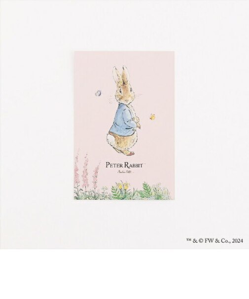 ピーターラビット ポストカード(いたずらっ子) 文具 日本製
