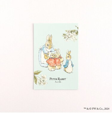ピーターラビット ポストカード（かぞく） 文具 日本製