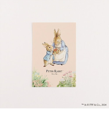 ピーターラビット ポストカード(プレゼント) 文具 日本製