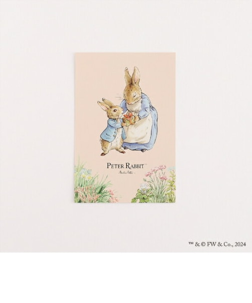 ピーターラビット ポストカード(プレゼント) 文具 日本製