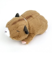 助六の日常 ジロ 這 ぬいぐるみ