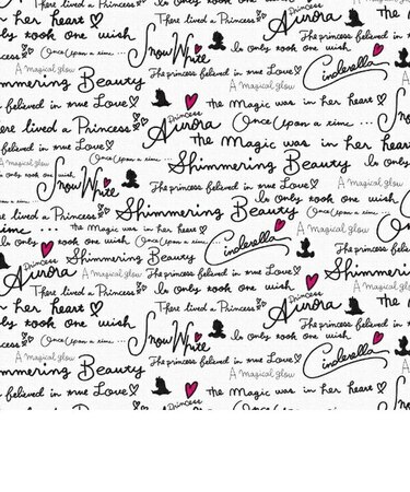 ディズニー  シンデレラ  アートパネル インテリア Disney  日本製