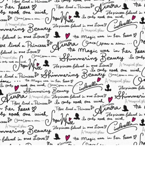 ディズニー  シンデレラ  アートパネル インテリア Disney  日本製