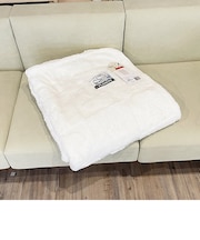 スヌーピー ピーナッツ ニューマイヤー毛布 (アイボリー) 寝具 西川 SNOOPY