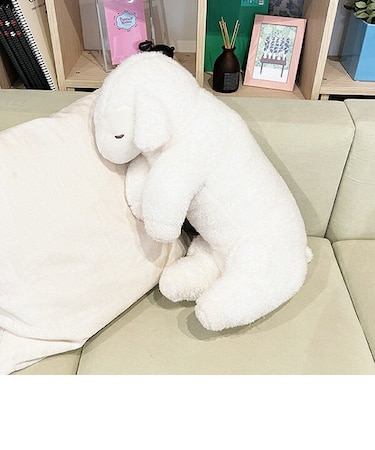 ソイネ 添い寝まくら(L) ブラン 抱き枕 寝具