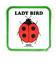 内藤ルネ LADYBIRD コースター キッチン 日本製