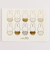 ミッフィー miffy 70th 金箔押しポストカード(miffy_pattern) 文具 日本製