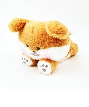 ほわころくらぶ ぬいぐるみ しばころちゃん マスコット