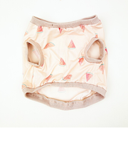 ねむねむアニマルズ スイカ クール 抱きまくらカバー(M) りぶはあと