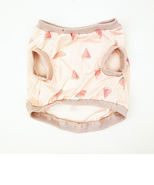 ねむねむアニマルズ スイカ クール 抱きまくらカバー(M) りぶはあと