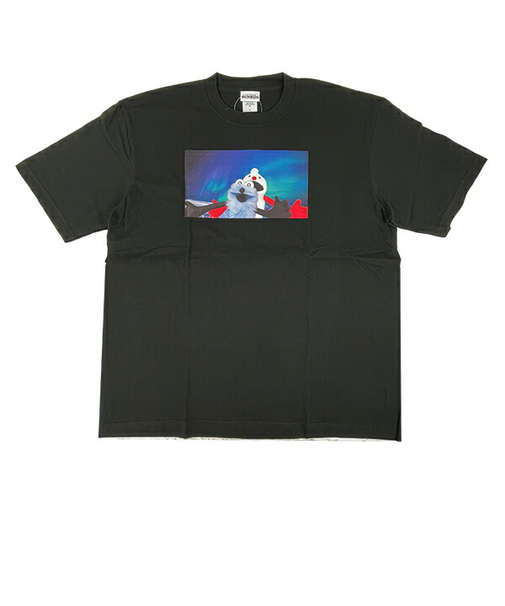 パペットスンスン オーロラ BIGTシャツ(L) アパレル